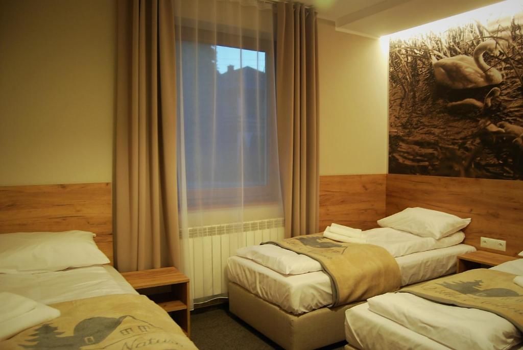 Отели типа «постель и завтрак» Villa Natura Zator Przeciszów Затор