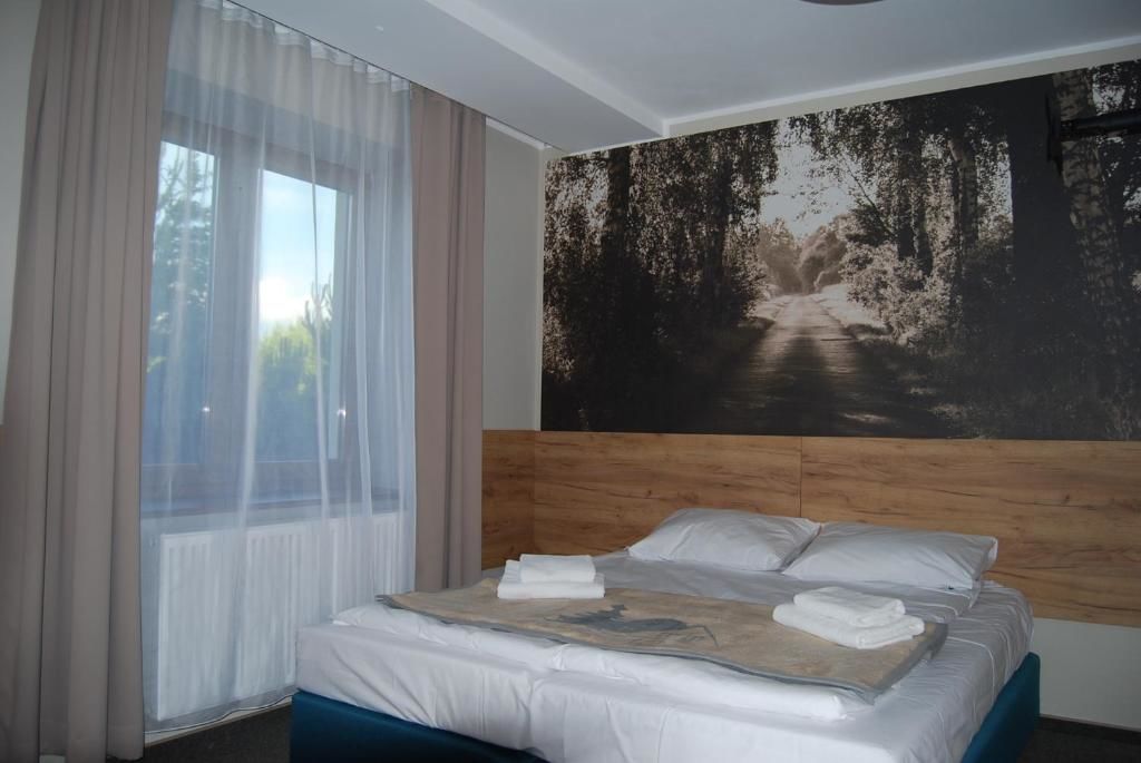Отели типа «постель и завтрак» Villa Natura Zator Przeciszów Затор-73