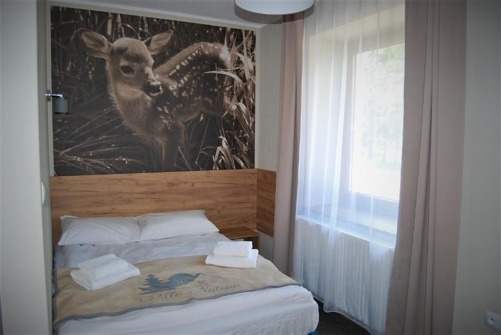 Отели типа «постель и завтрак» Villa Natura Zator Przeciszów Затор-79
